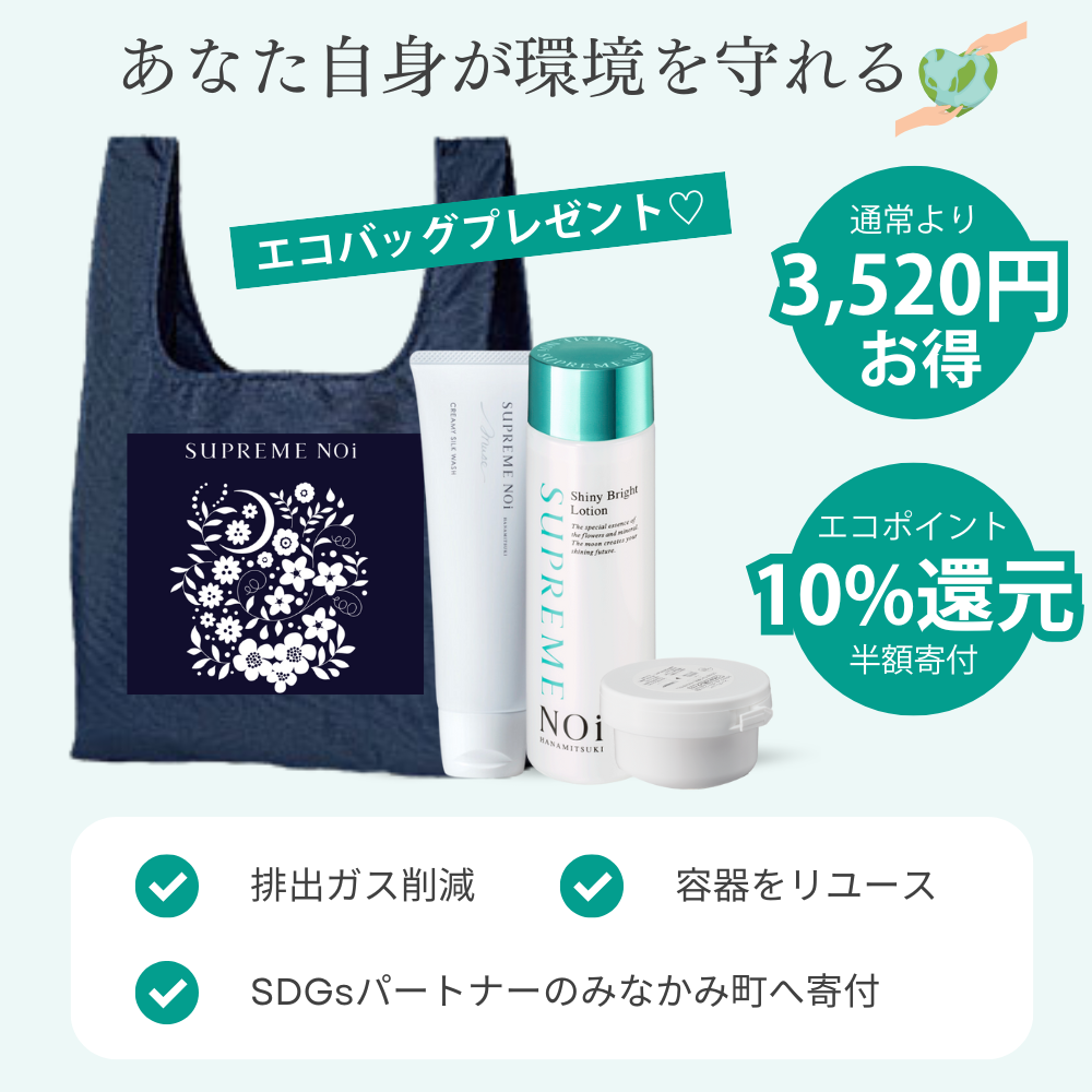 SDGsセット